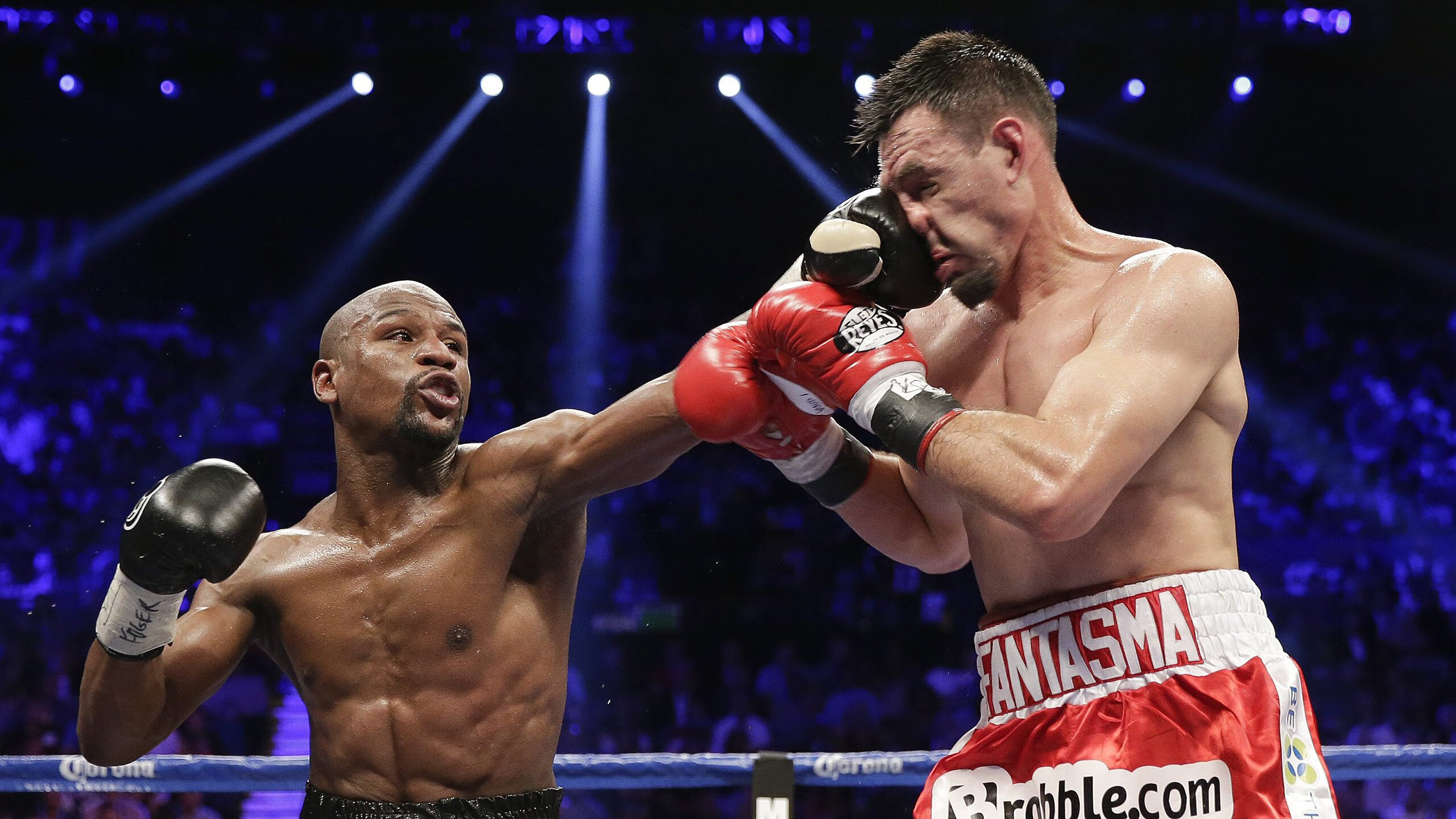 赛场上的双重火焰，日本队横扫与陈雨菲的孤勇之光